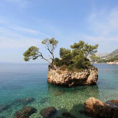 Cozy Seaside セリア